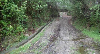 AMUT’Caminhando – Corno de Javali e Bico de Chapim, Paredes de Coura (Suspenso)