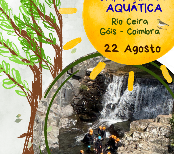 CAMINHADA_AGOSTO_POST