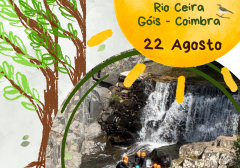 CAMINHADA_AGOSTO_POST