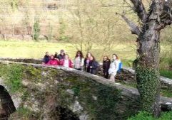 caminho-frances-de-s-tiago-2018-thumbnai2l